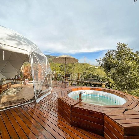 Nazca Glamping Hotel Villamaría Buitenkant foto